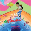 Book cover for "The Boy From Mexico".