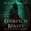 Book cover for "The Last Witch Hunter".