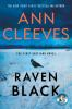Book cover for "Raven black".