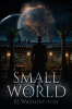 Book cover for "Small World".