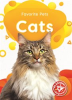 Book cover for "Cats".