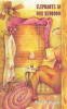 Book cover for "Elephants in Our Bedroom".