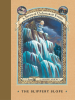 Book Cover for "The Slippery Slope"