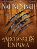 Book Cover for "Archangel's Enigma"