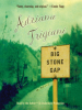 Book Cover for "Big Stone Gap"