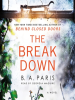 Book Cover for "The Breakdown"