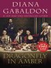 Book Cover for "Dragonfly in Amber"
