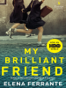 Book Cover for "My Brilliant Friend"