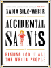 Book Cover for "Accidental Saints"