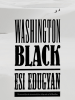 Book Cover for "Washington Black"