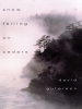 Book Cover for "Snow Falling On Cedars"