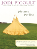 Book Cover for "Picture Perfect"