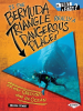 Book Cover for "Is the Bermuda Triangle Really a Dangerous Place?"