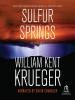 Book Cover for "Sulfur Springs"