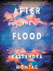 Book Cover for "After the Flood"