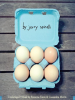 Book Cover for "Eggs"