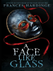 Book Cover for "A Face Like Glass"