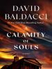 Book Cover for "A Calamity of Souls"