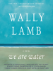 Book Cover for "We Are Water"