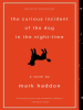 Book Cover for "The Curious Incident of the Dog in the Night-Time"
