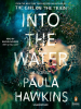 Book Cover for "Into the Water"